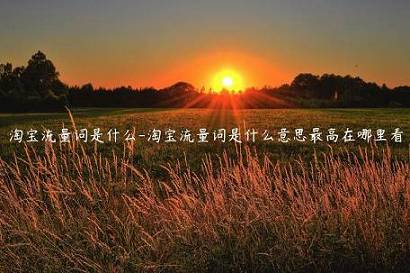 淘寶流量詞是什么-淘寶流量詞是什么意思最高在哪里看